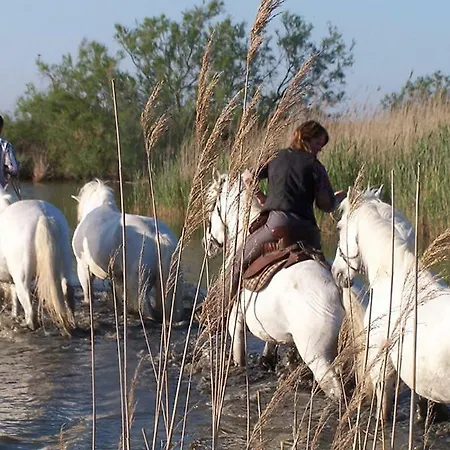 Le Neptune En Camargue Saintes-Maries-de-la-Mer