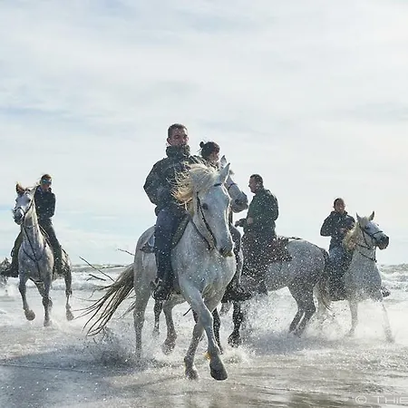 Le Neptune En Camargue 3*