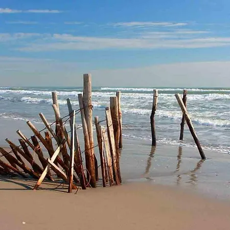 Le Neptune En Camargue Les Saintes-Maries-de-la-Mer