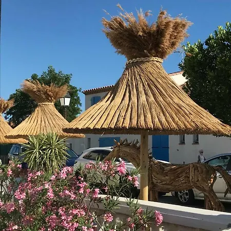 Le Neptune En Camargue 3*